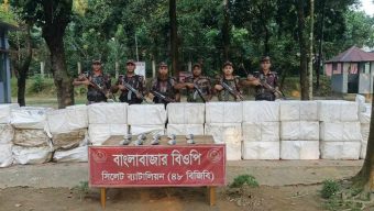 ভারতে পাচারের সময় সুনামগঞ্জ সীমান্ত থেকে ৮৮৫ কেজি ইলিশ জব্দ