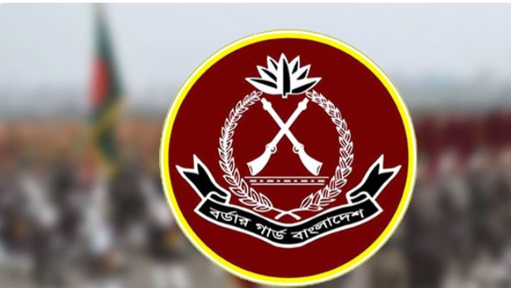 বিজিবিতে নতুন ২ হাজার ২৫৮ পদ সৃষ্টি