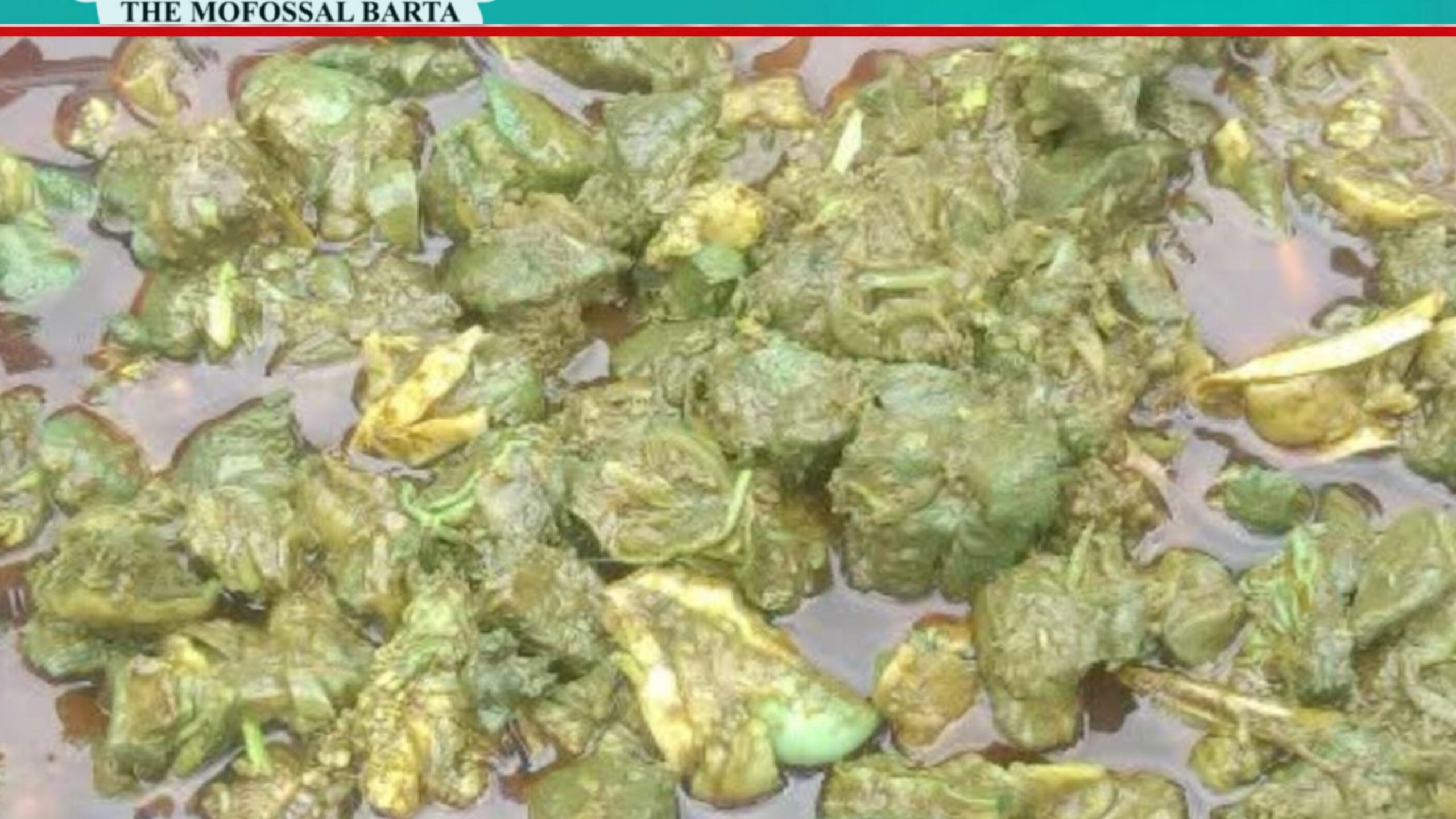 রান্নার পর সবুজ হয়ে গেল গরুর মাংস! এলাকায় চাঞ্চল্য