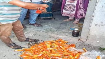 পাইকগাছায় আইসক্রিমে নিষিদ্ধ রং ও অস্বাস্থ্যকর পরিবেশ,ভ্রাম্যমান আদালতে অর্থদণ্ড।