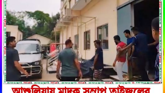আশুলিয়ায় মাদক সম্রাট তাইজুলের লাথিতে দুই  মাসের সন্তান নষ্ট