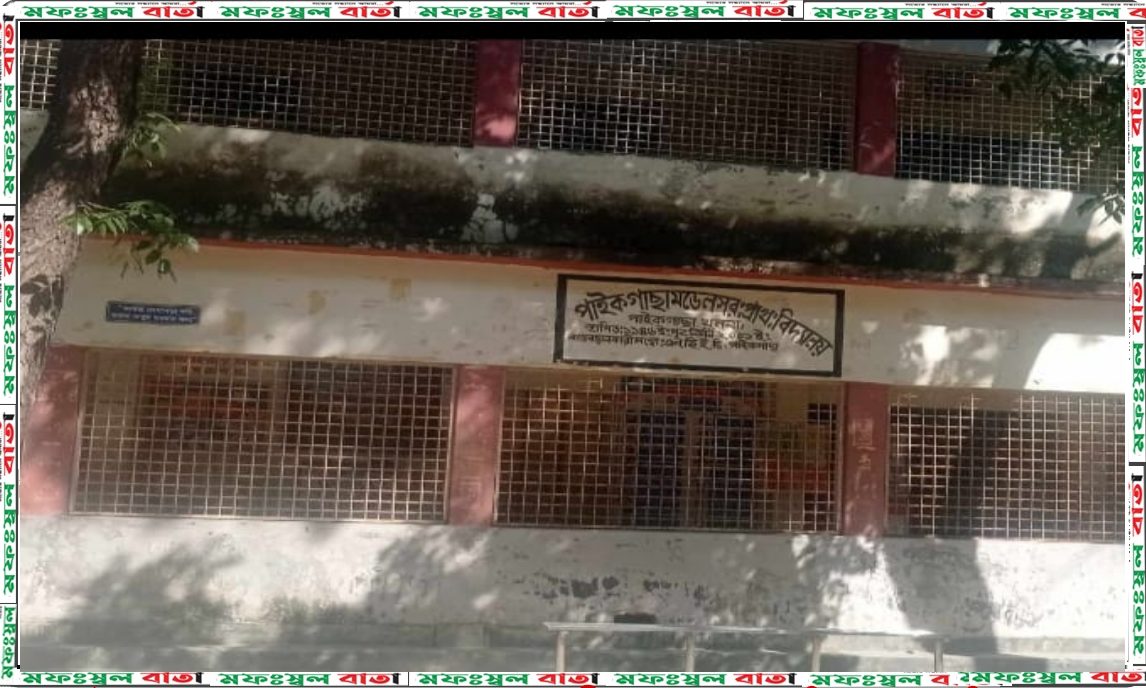 পাইকগাছায় চারু ও কারুকলা পরীক্ষায় কৃত্রিম প্লাস্টিকের সামগ্রী ব্যবহারের অভিযোগ প্রধান শিক্ষকের বিরুদ্ধে
