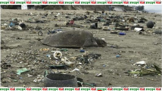 “সমুদ্র দূষণে হুমকির মুখে ব্লু ইকোনমি”