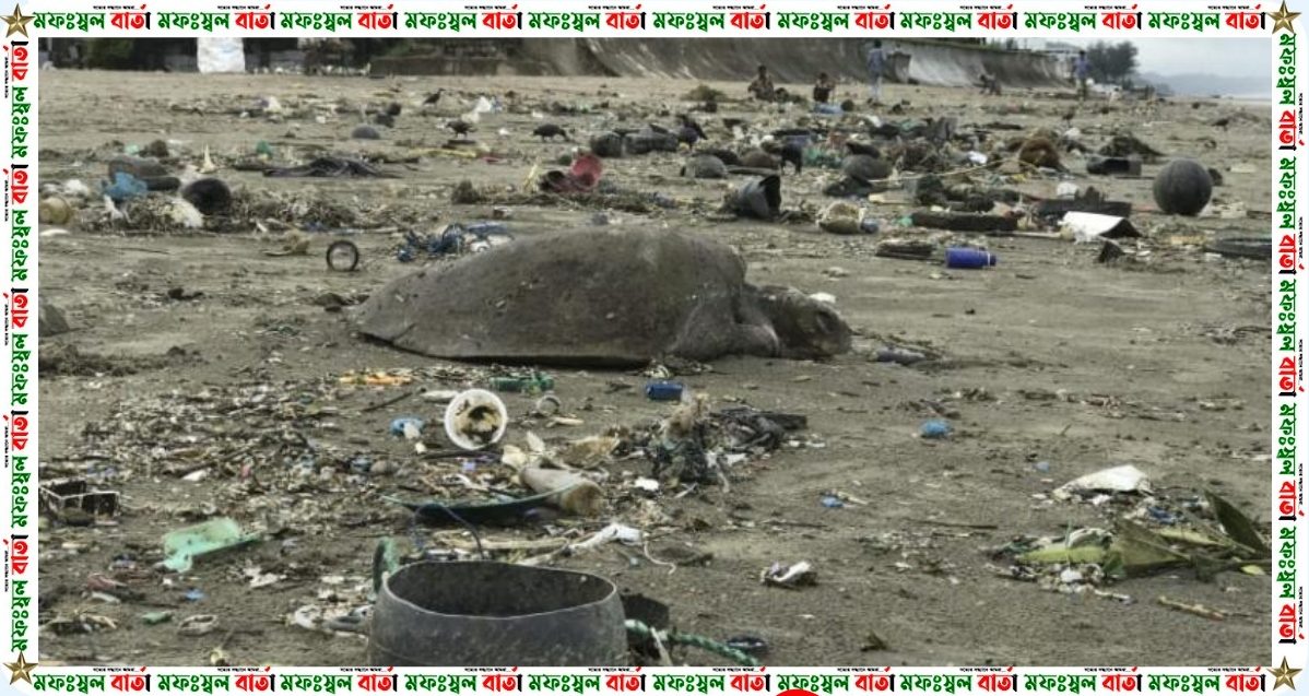 “সমুদ্র দূষণে হুমকির মুখে ব্লু ইকোনমি”