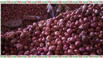 ভারতে পেঁয়াজের দাম দ্রুত বাড়ছে