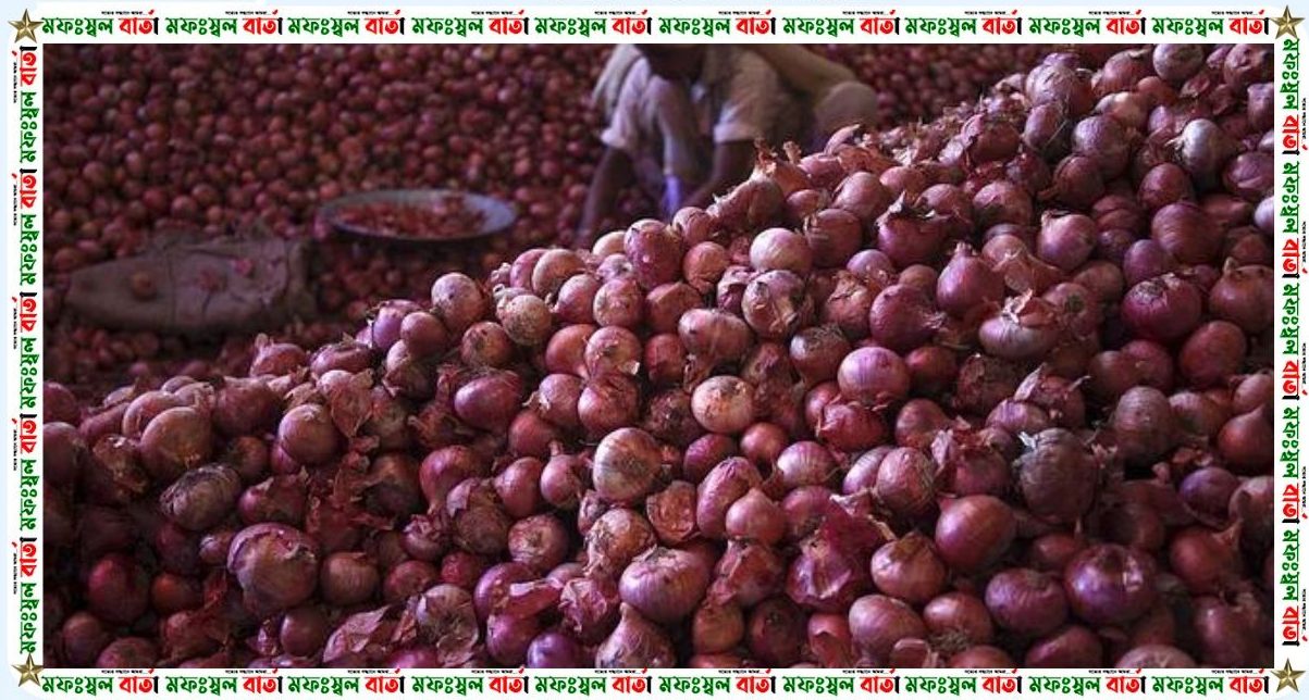 ভারতে পেঁয়াজের দাম দ্রুত বাড়ছে