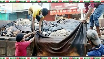 কোরবানির চামড়ার মূল্য নির্ধারণ করে দিল সরকার