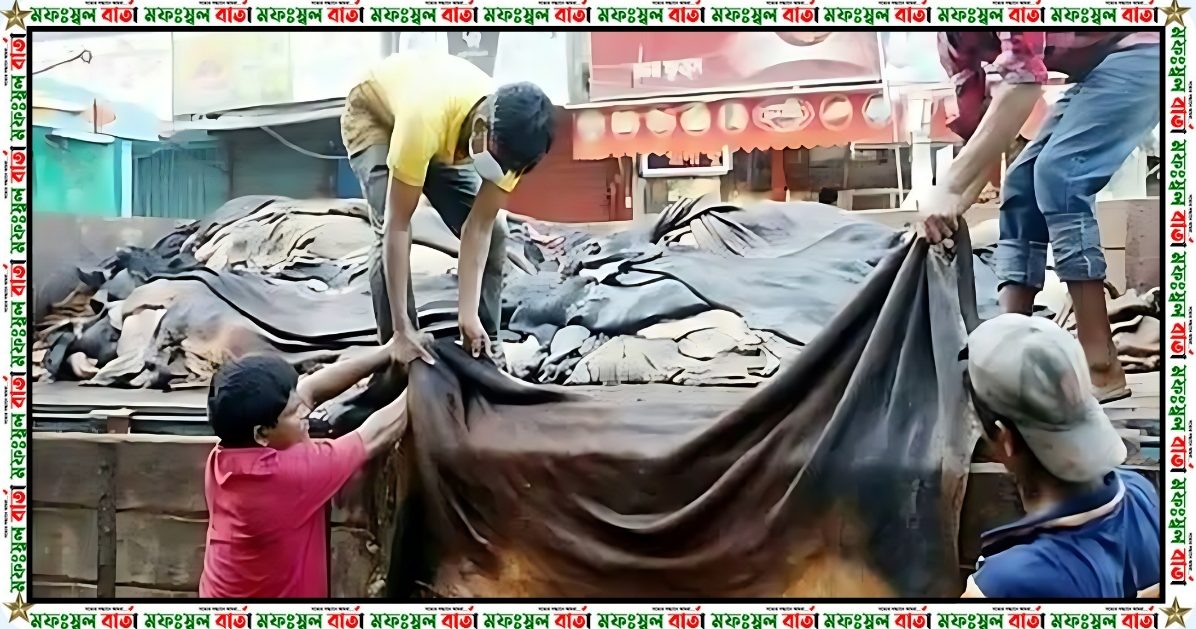 কোরবানির চামড়ার মূল্য নির্ধারণ করে দিল সরকার