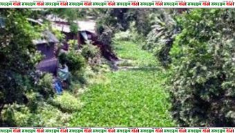 নাটোরের নারদ নদ এখন বিলুপ্তর পথে,দখলদারদের কবলে
