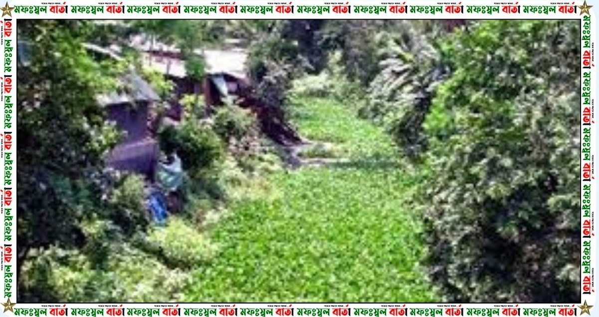 নাটোরের নারদ নদ এখন বিলুপ্তর পথে,দখলদারদের কবলে