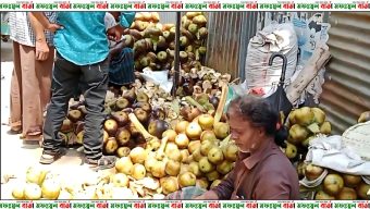 মানিকগঞ্জের ঘিওরে তাপ প্রবাহের কারণে বেড়েছে তালের শাঁসের কদর