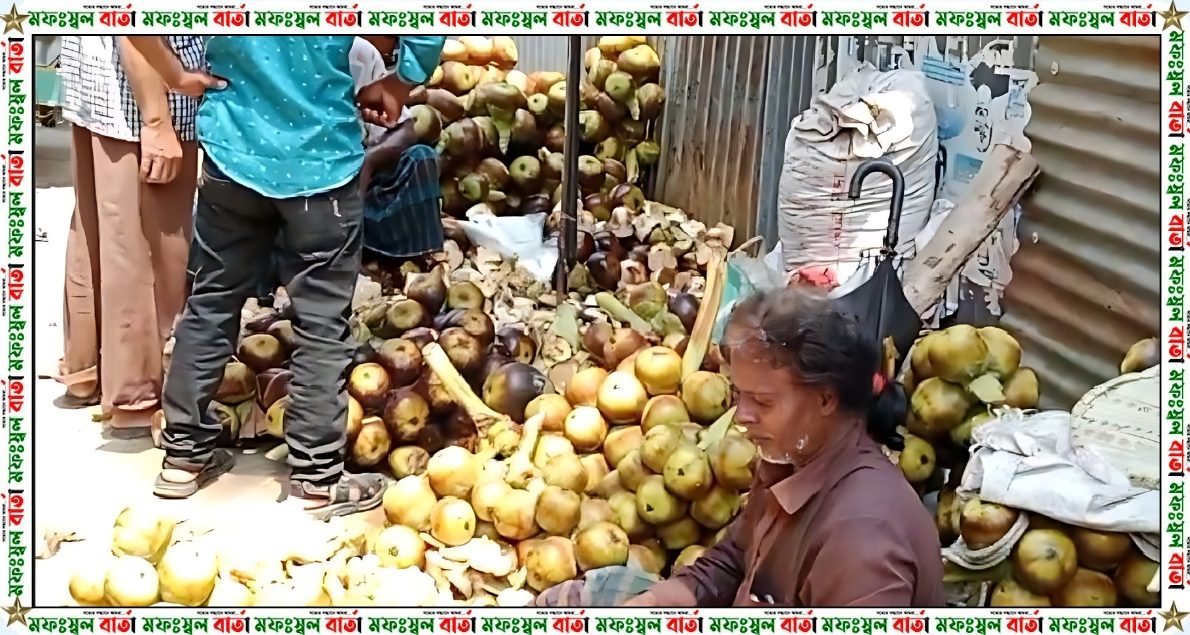 মানিকগঞ্জের ঘিওরে তাপ প্রবাহের কারণে বেড়েছে তালের শাঁসের কদর