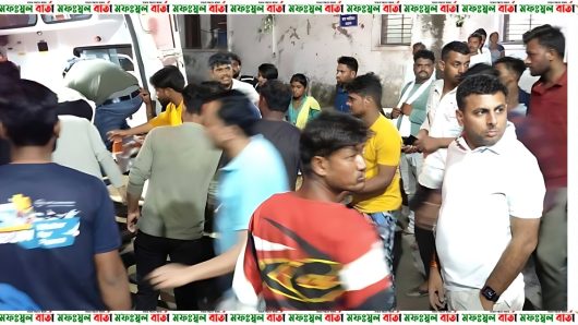 ভারতে বিয়ের অনুষ্ঠানে যাওয়ার পথে দুর্ঘটনায় নিহত ১৩ জন