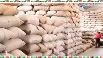 গাইবান্ধার পলাশবাড়ী উপজেলা সরকারি খাদ্য গুদাম এলএসডি গোডাউন থেকে প্রায় ২শ মে: টন চাল উধাও, কমকর্তা পালাতক