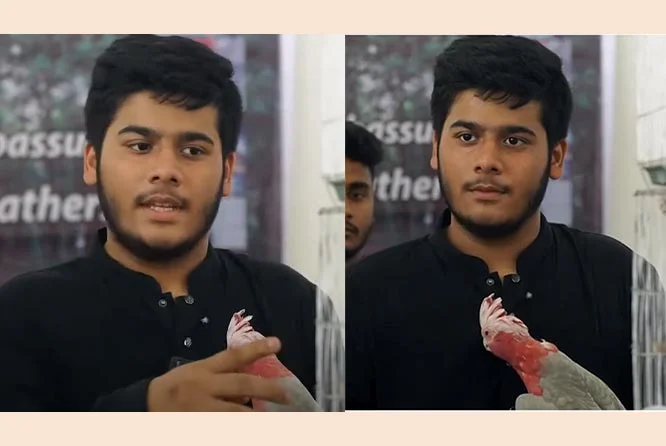 ছাগলের পর এবার ’পাখি কাণ্ডে’ আলোচনায় ইফাত