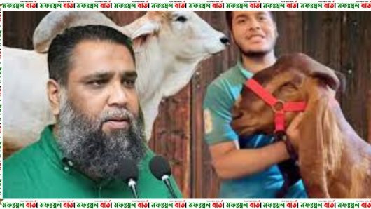 ছাগল–কাণ্ডের জন্য আলোচিত সাদিক অ্যাগ্রো উচ্ছেদ করবে ডিএনসিসি