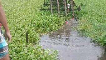 বরগুনার আমতলীতে শোকের ছায়া, সেতু ভেঙে বিয়ের মাইক্রোবাস খালে,নিহত ৯