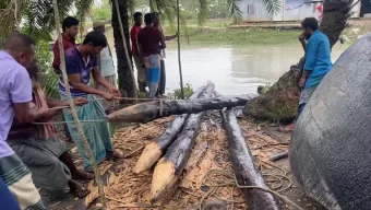 টেংরাগিরি বনের কেওড়া গাছ উদ্ধার, অভিযুক্তকে ছেড়ে দেওয়ার অভিযোগ