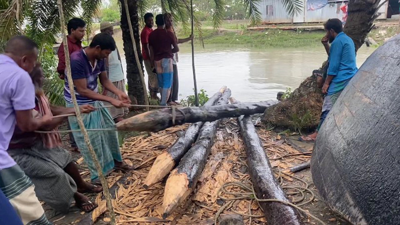 টেংরাগিরি বনের কেওড়া গাছ উদ্ধার, অভিযুক্তকে ছেড়ে দেওয়ার অভিযোগ