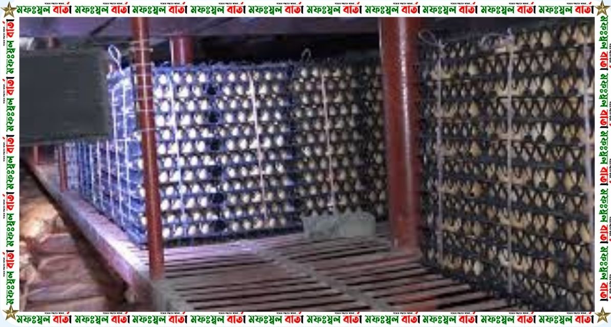কোল্ড স্টোরেজে আড়াই লাখ ডিম, বরিশালে ৬ পাইকারকে জরিমানা