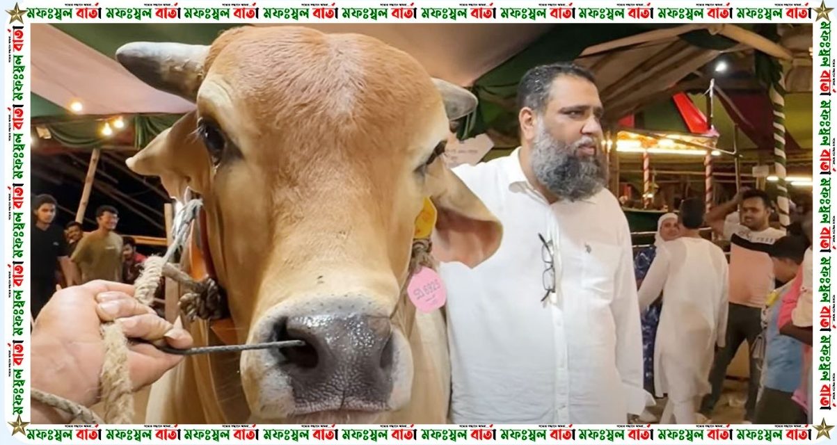 সাদিক অ্যাগ্রোর সেই কোটি টাকার গরুসহ ৬টি গরু উদ্ধার