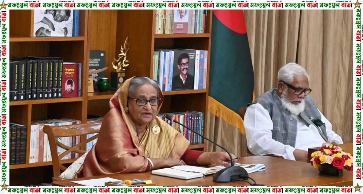 যন্ত্রপাতি শুধুই কেনার জন্য নয়; হাসপাতাল ও রোগীর চাহিদা অনুযায়ী কিনতে হবে- প্রধানমন্ত্রী