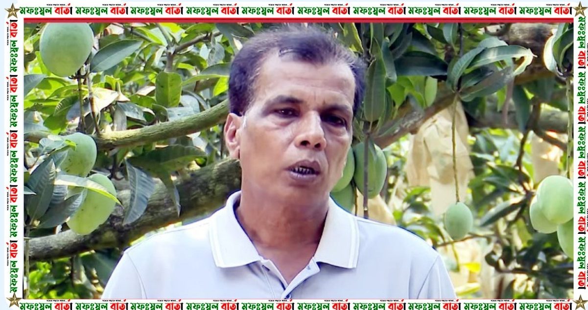 সিন্ডিকেট ও চাঁদাবাজির কারণে অসহায় আম বাগানীরা