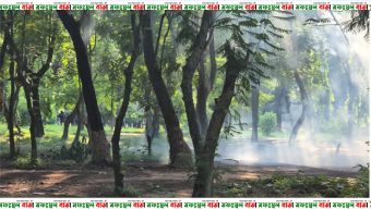 জাহাঙ্গীরনগর বিশ্ববিদ্যালয়ে পুলিশের গুলিতে ৩০ জন আহত