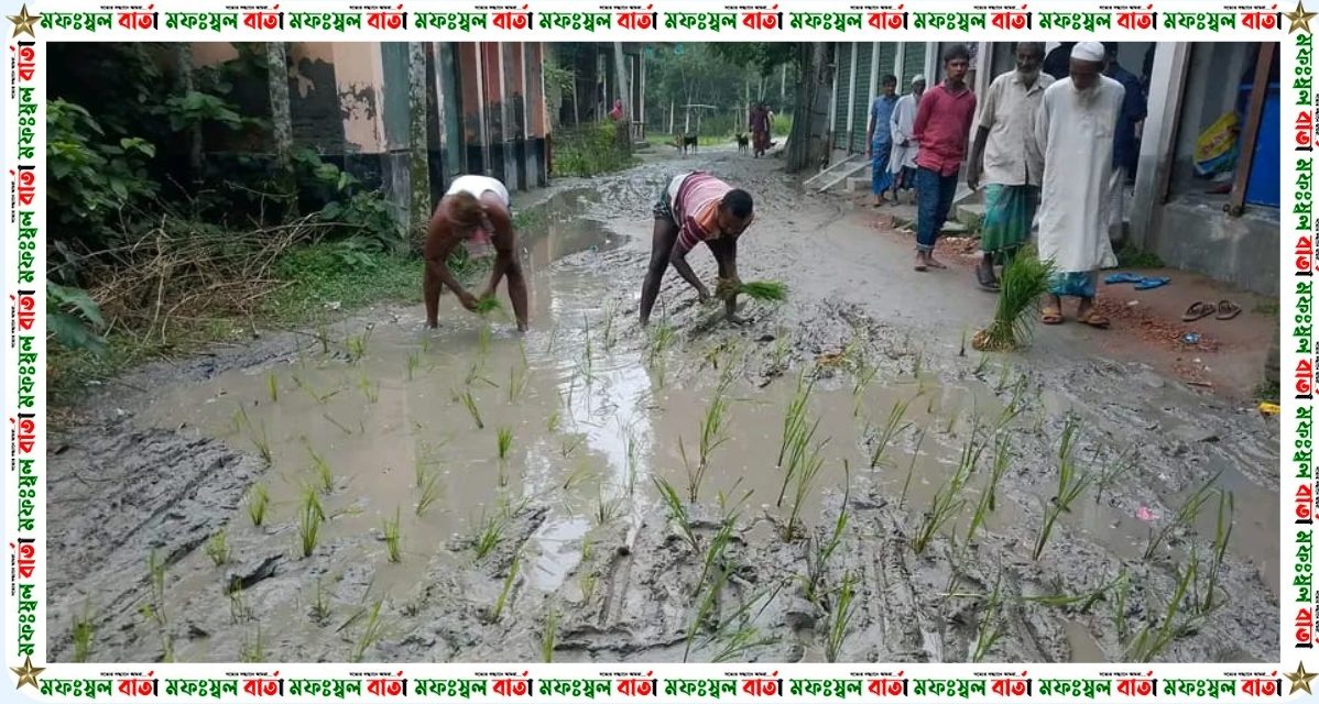 গাইবান্ধা জেলার সুন্দরগঞ্জ থানা রাস্তার বেহাল অবস্থা