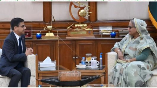 সরকার পতনের জন্য ‘সন্ত্রাসী হামলা’: ভারতীয় রাষ্ট্রদূতকে বলেছেন প্রধানমন্ত্রী