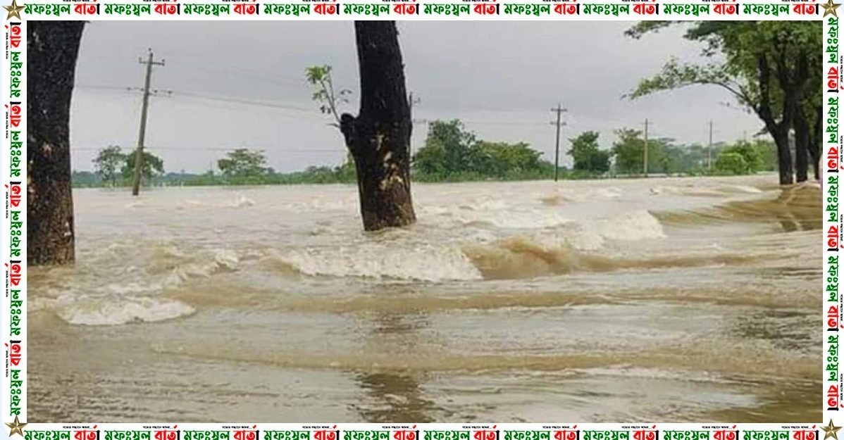 বৃষ্টিপাত ও পাহাড়ি ঢলে আবারও ভাসতে যাচ্ছে সিলেট