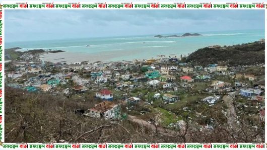হারিকেন বেরিলের প্রভাবে ‘প্রায় পুরো দ্বীপ গৃহহীন’