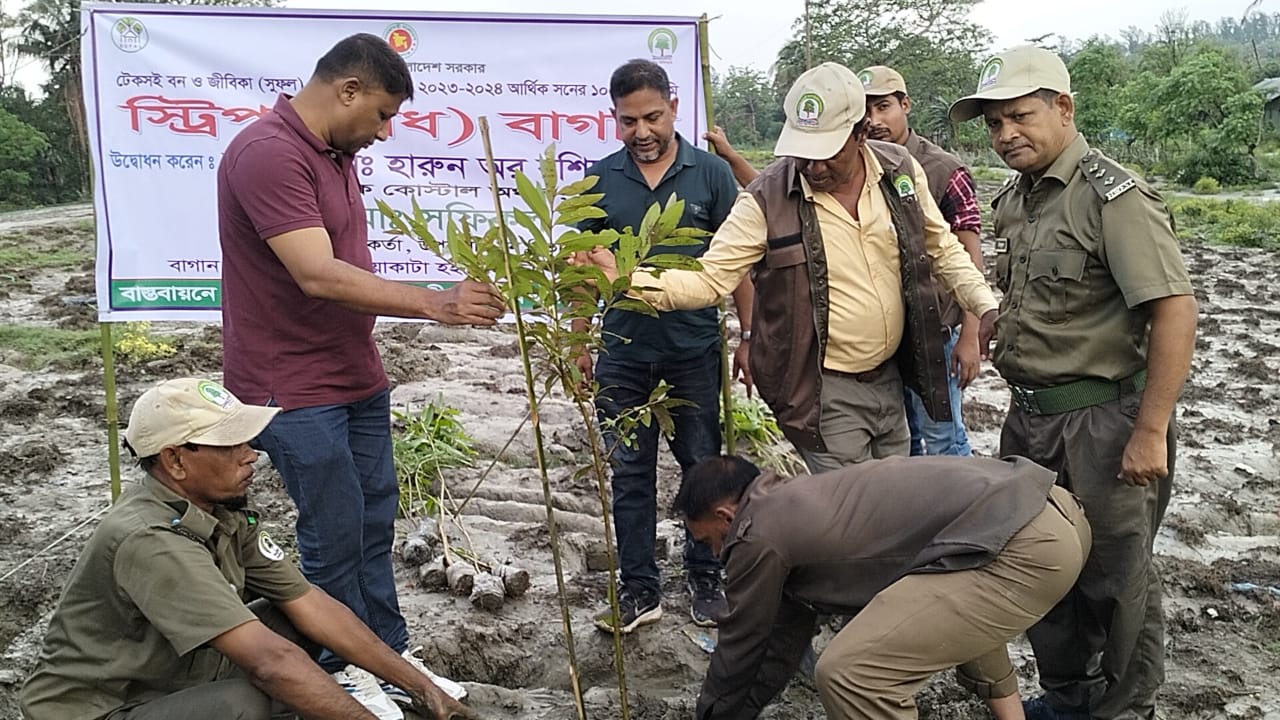 কুয়াকাটায় বেড়িবাঁধ সংরক্ষণ এবং উপকূলে মাটি ক্ষয়রোধে ১ লাখ বৃক্ষ রোপণ কাজ শুরু করে বনবিভাগ