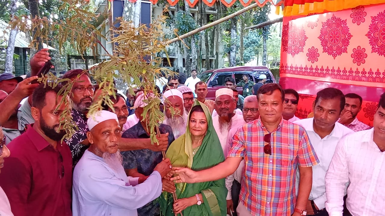 জলবায়ু মোকাবেলায় গাছ লাগান পরিবেশ বাঁচান,– ডক্টর শামীম আহমেদ এমপি 