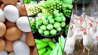 কমেছে মুরগি-সবজির দাম, ডিম এখনো চড়া