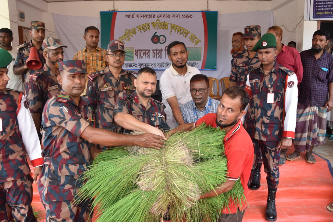 কসবায় ক্ষতিগ্রস্থদের মাঝে ধানের চারা দিলো বিজিবি