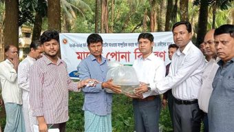 বন্যায় ক্ষতিগ্রস্ত মৎস্য চাষিদের বিনামূল্যে মাছের পোনা বিতরণ