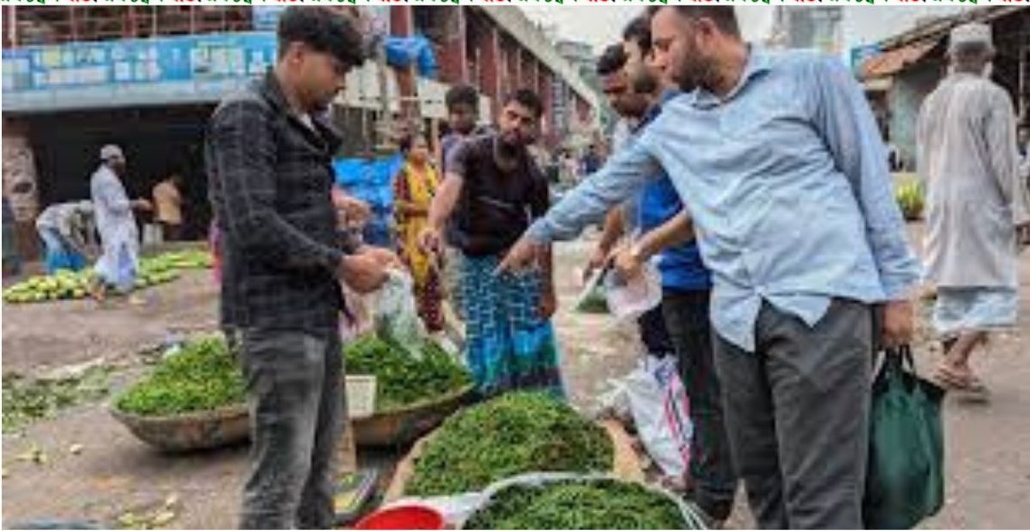 কাঁচা মরিচ পাইকারিতে কমলেও খুচরায় কেজি ৫০০ টাকা