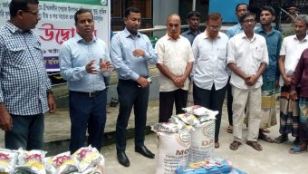ঠাকুরগাঁওয়ের রাণীশংকৈলে বিনামূল্যে পেঁয়াজ বীজ ও সার বিতরণ
