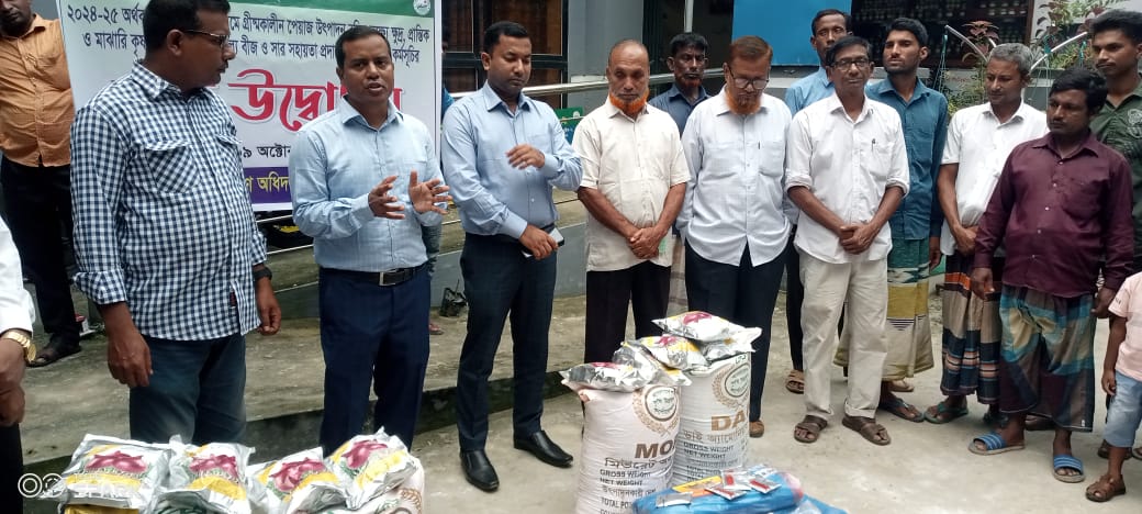 ঠাকুরগাঁওয়ের রাণীশংকৈলে বিনামূল্যে পেঁয়াজ বীজ ও সার বিতরণ