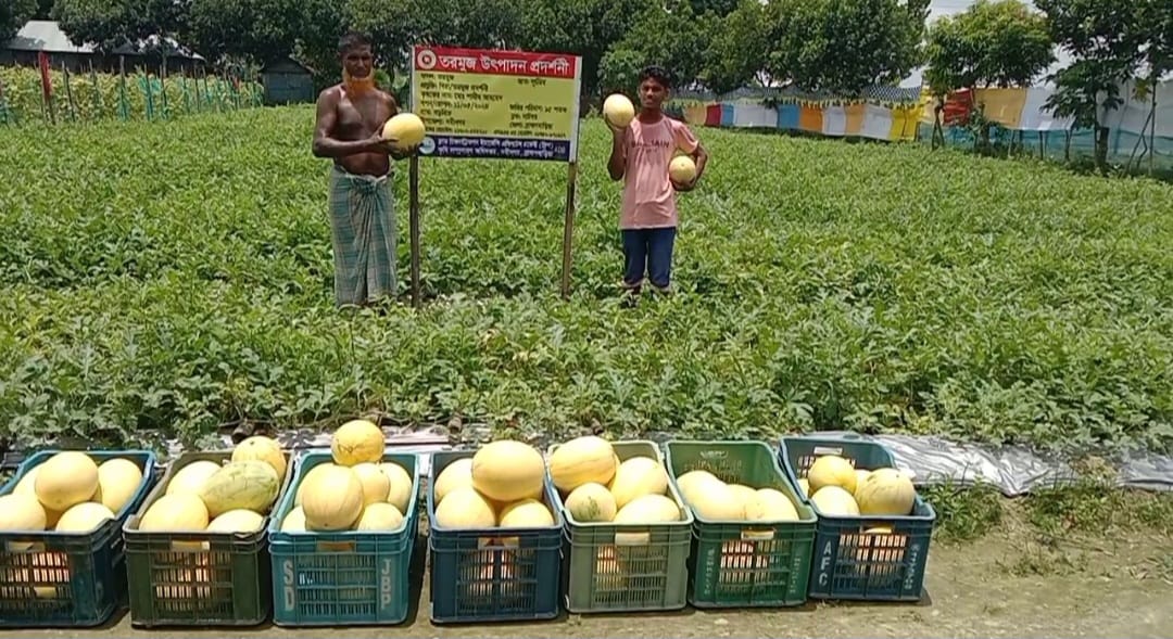 হলুদ তরমুজে রঙ্গিন মুখ