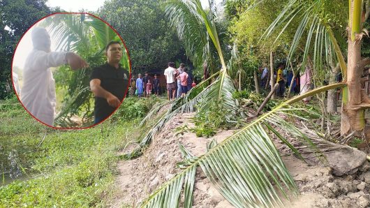 তিতাসে রাস্তা সংস্কার করাকে কেন্দ্র করে হত্যার হুমকি ও ফলদ গাছ কর্তন