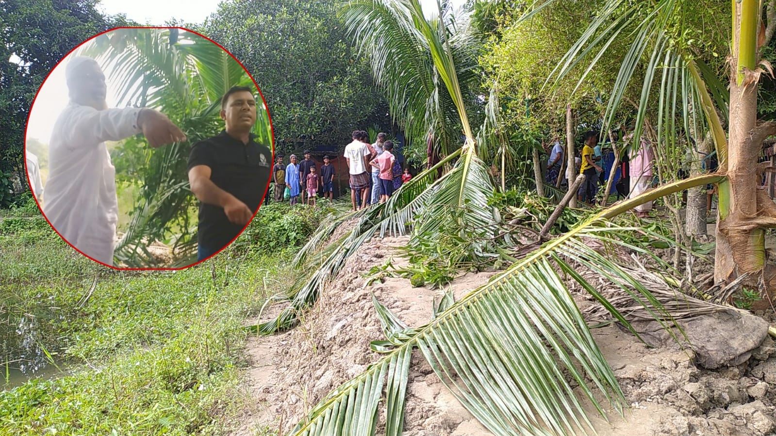 তিতাসে রাস্তা সংস্কার করাকে কেন্দ্র করে হত্যার হুমকি ও ফলদ গাছ কর্তন