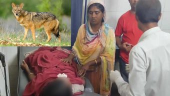জামালপুরে শিয়ালের কামড়ে নারীসহ আহত ৭