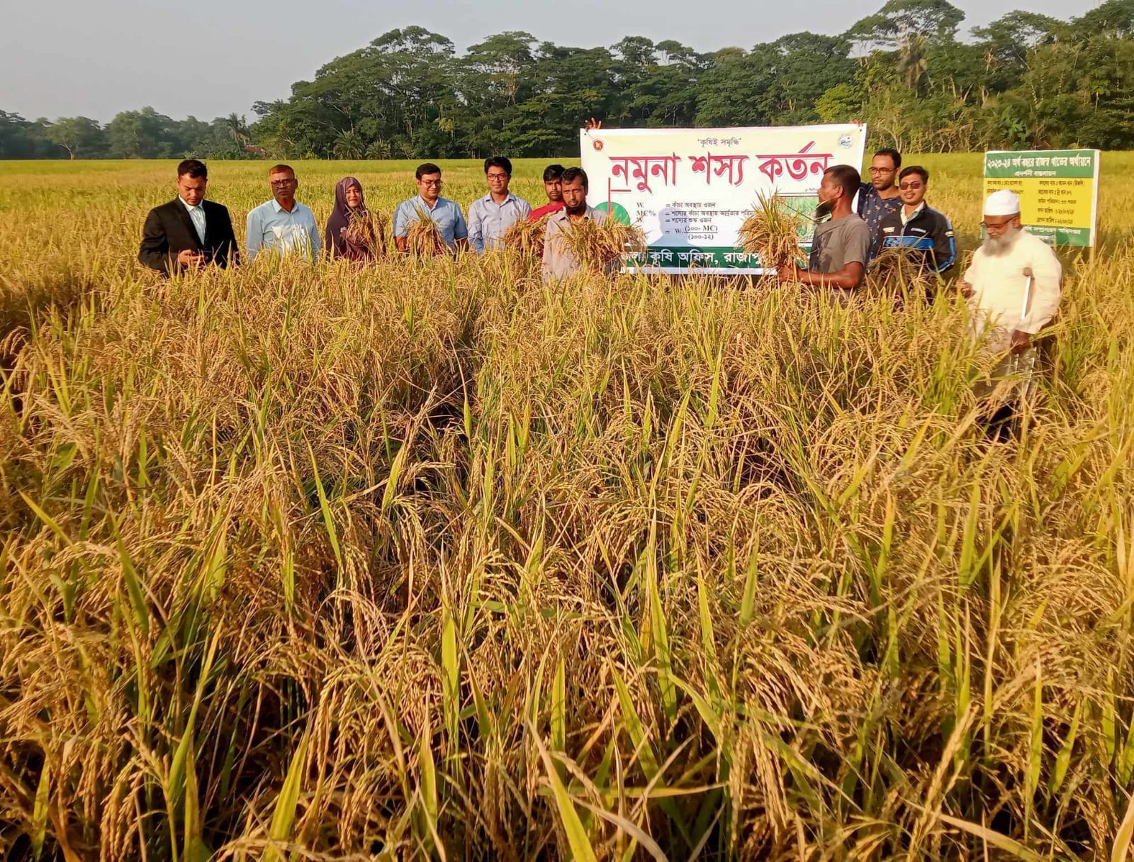 রাজাপুরে উফশী জাতের আমন ধান কর্তন অনুষ্ঠানে ইউএনও রাহুল চন্দ,