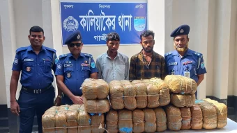 কালিয়াকৈরে ৪৮ কেজি গাঁজা উদ্ধার