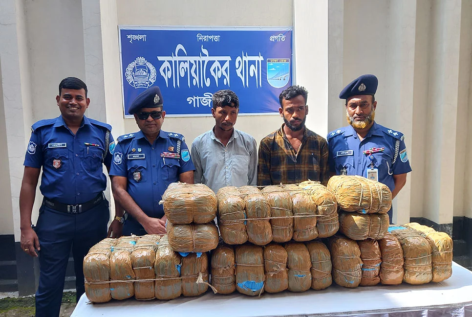 কালিয়াকৈরে ৪৮ কেজি গাঁজা উদ্ধার
