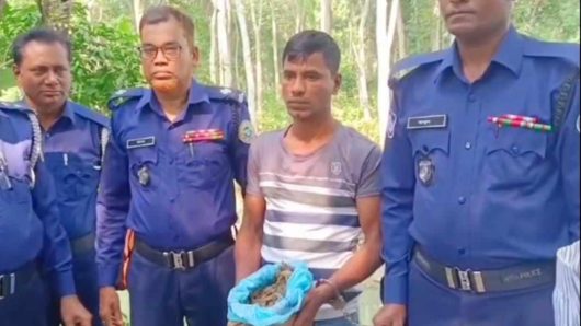 রাজাপুরে ২ কেজি গাঁজাসহ এক যুবক আটক