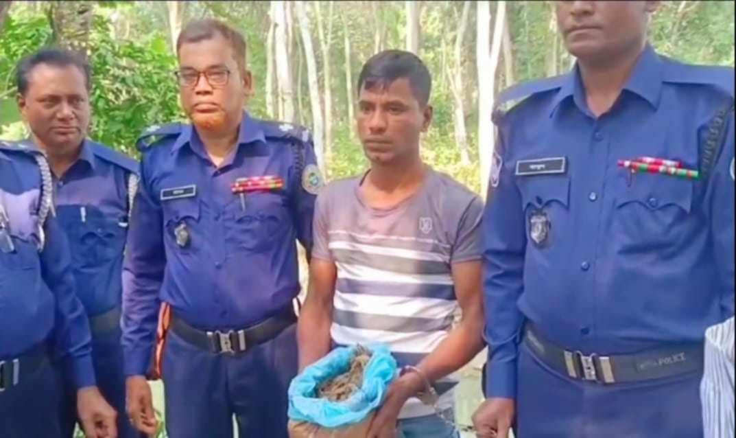 রাজাপুরে ২ কেজি গাঁজাসহ এক যুবক আটক