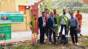 রাজাপুরে পূবালী ব্যাংকের উদ্যোগে শিক্ষা প্রতিষ্ঠানসহ বিভিন্ন স্থানে ১৫শ নারিকেল গাছ বিতরন